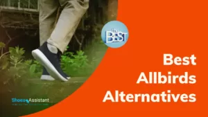 Allbirds knock off shoes